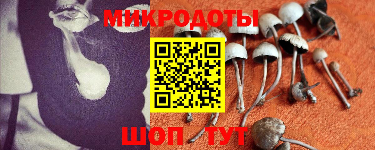 Якутск  Псилоцибиновые грибы Cubensis  Вход с VPN 